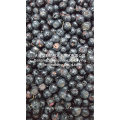 Blueberry Freeze Drying Machine